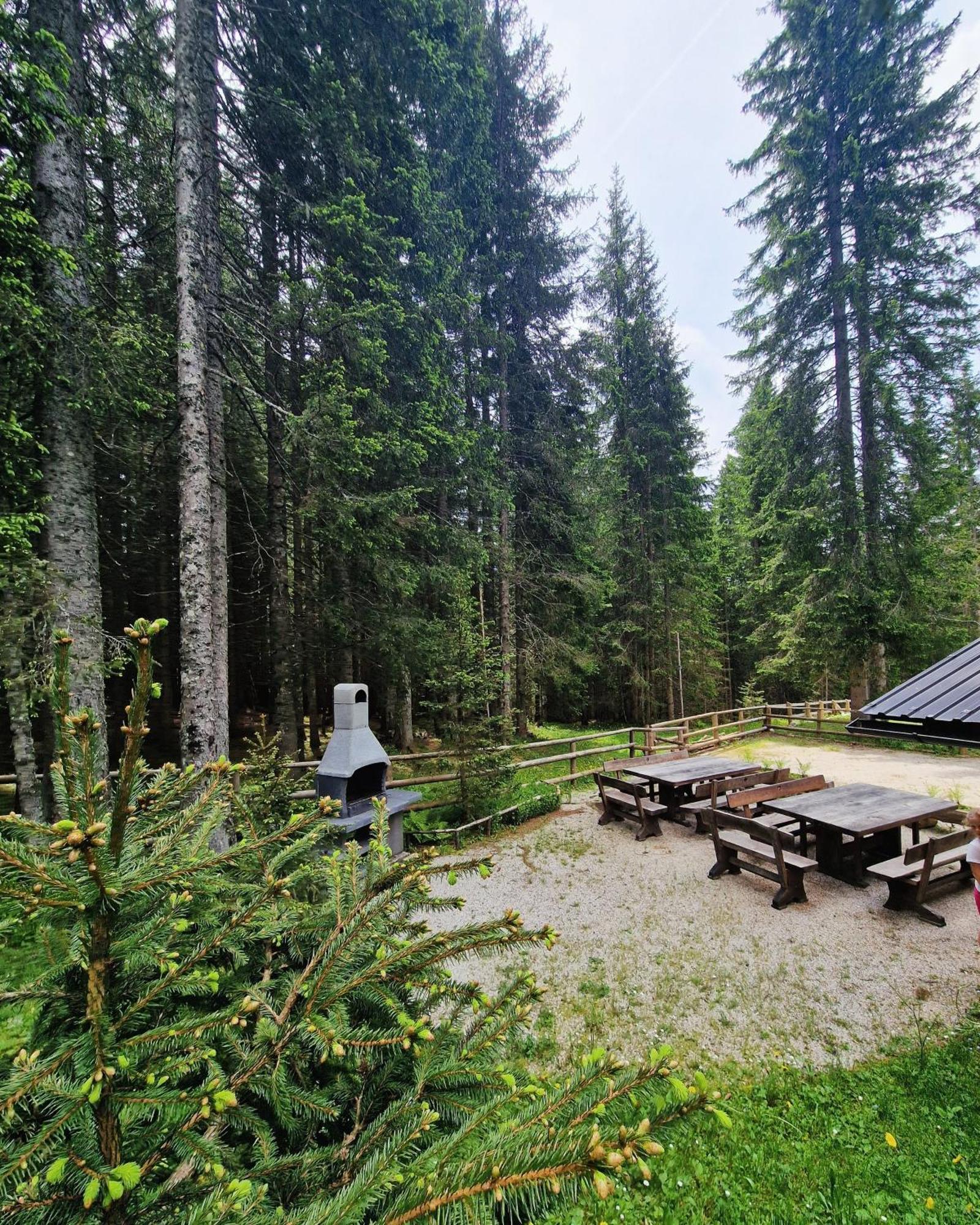 Forest Apartments Pokljuka Zgornje Gorje Exterior photo